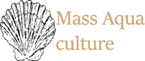 Mass Aqua Culture